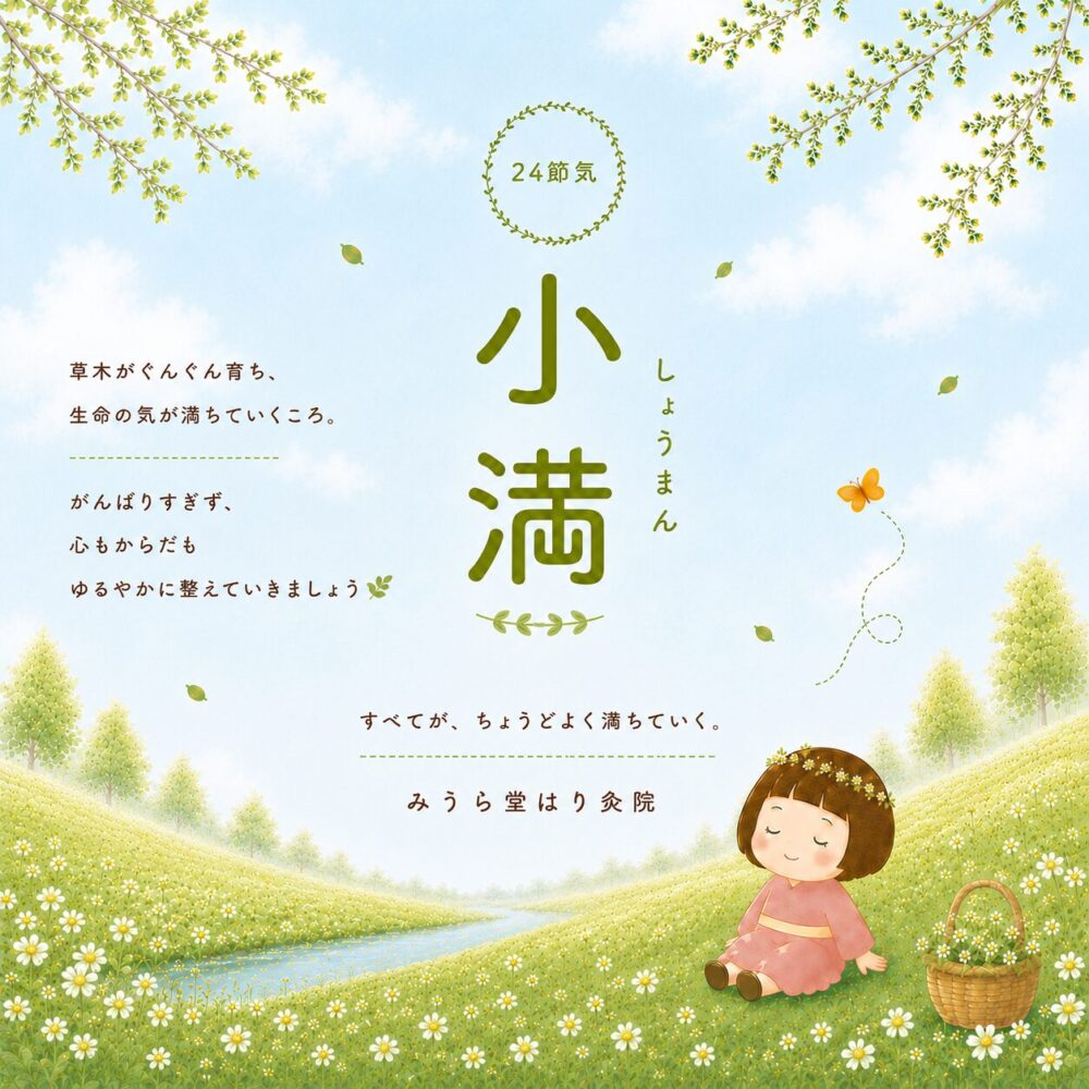 24節気　小満