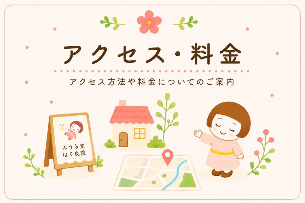 アクセス料金