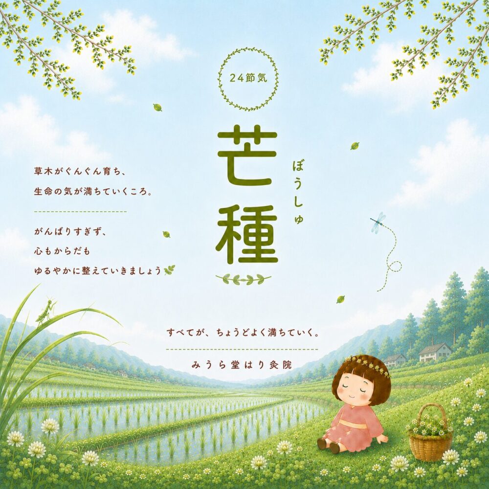 芒種