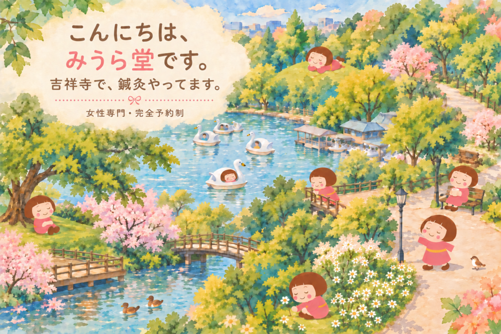 こんにちは、みうら堂です。